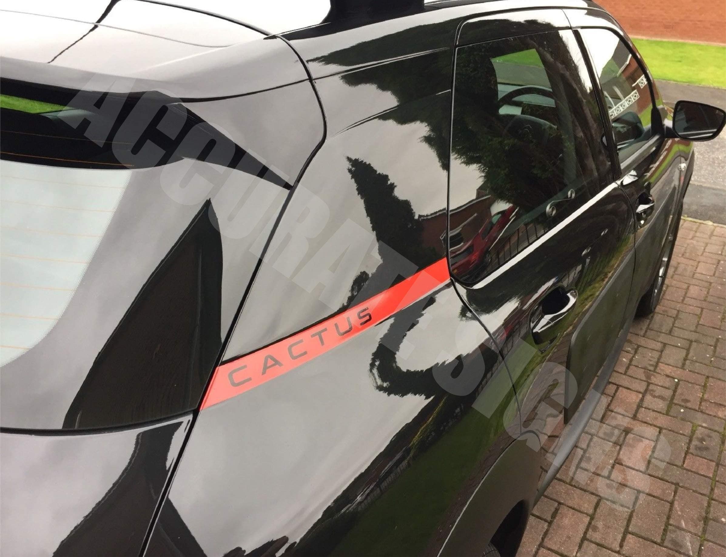 Stickers for C4 Cactus Stripes Graphics Decal Vinyl