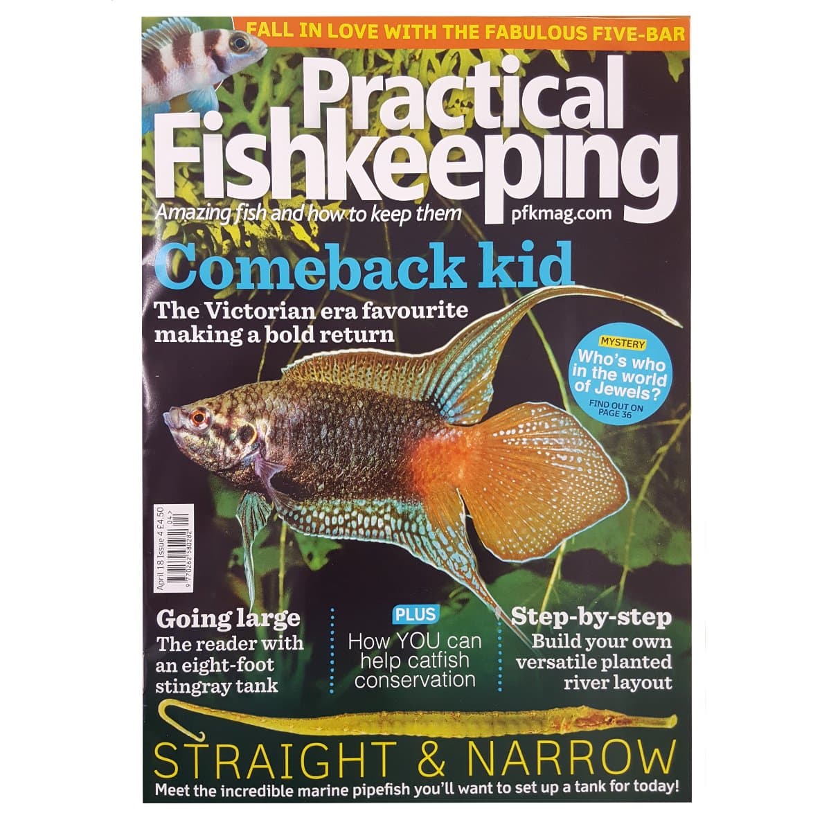 Practical Fishkeeping Magazine Issue 4 April 2018 PFK Mag