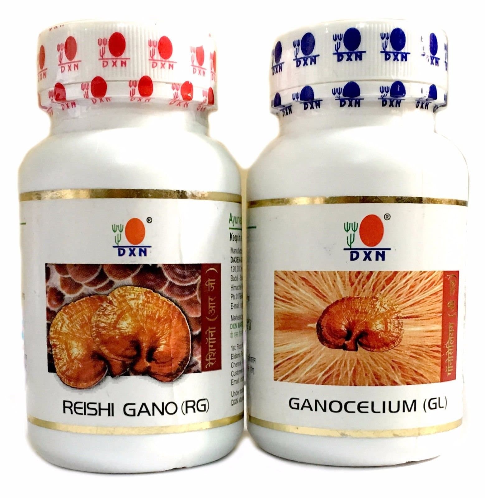 Reishi Ganoderma and Ganocelium Capsules, Fruit and Root, RG and GL (90 + 90 Capsules)