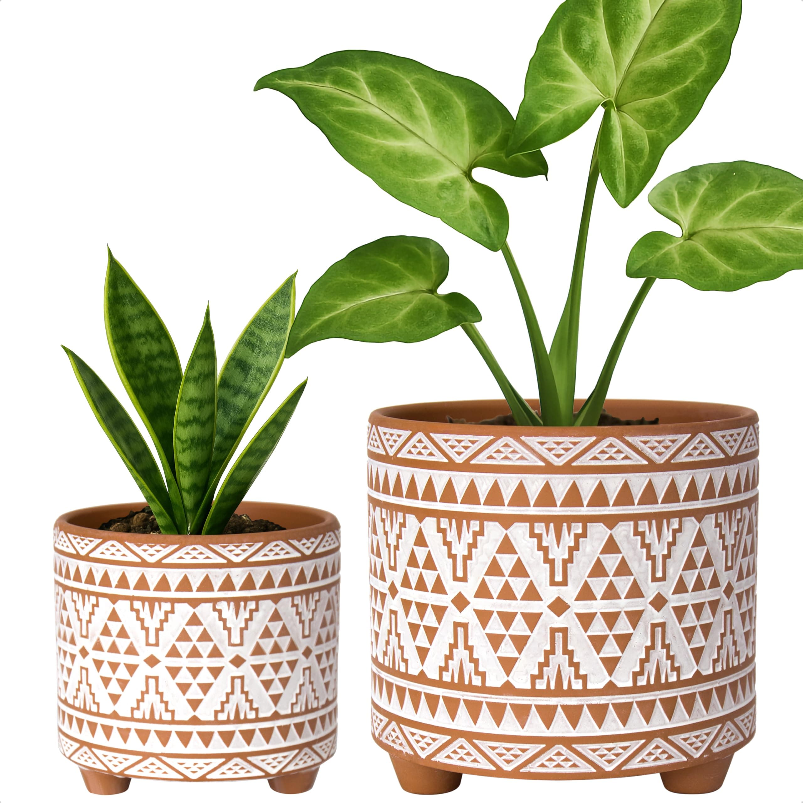 D'vine Dev Set of 2 Terracotta Planter Pots, 4 Inch & 6 Inch, Design Plants Pot with Drainage Hole, Sierra Sandstone, Terracotta/White, 31-953-A-1
