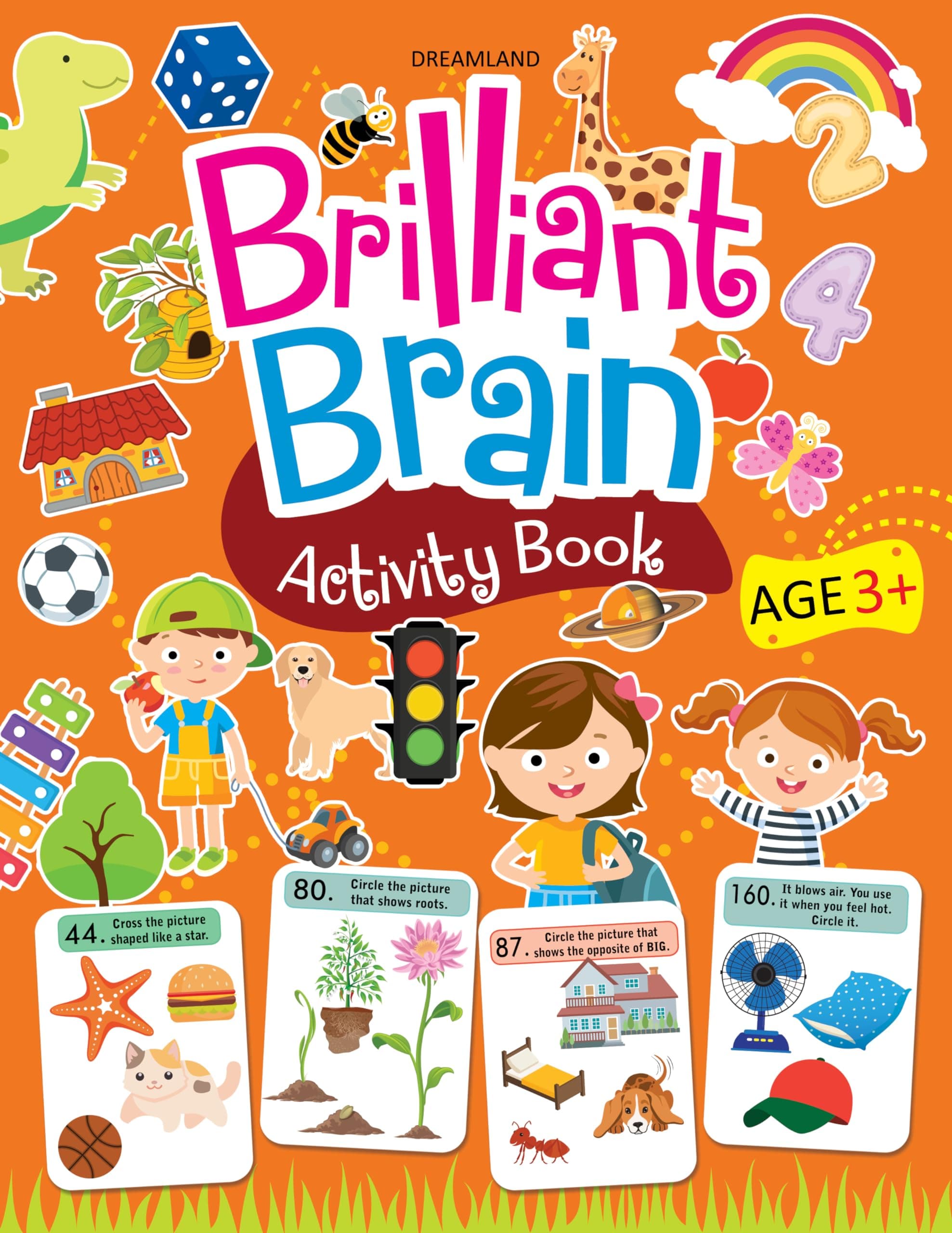 Brilliant Brain Activity Book 3+