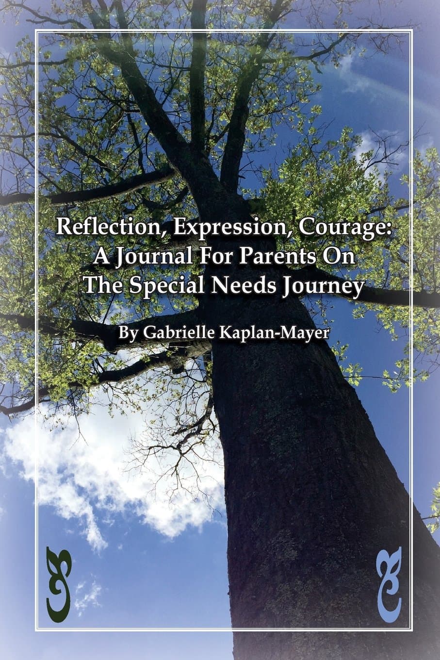Reflection, Expression, Courage: A Journal For Parents On The Special Needs Journey