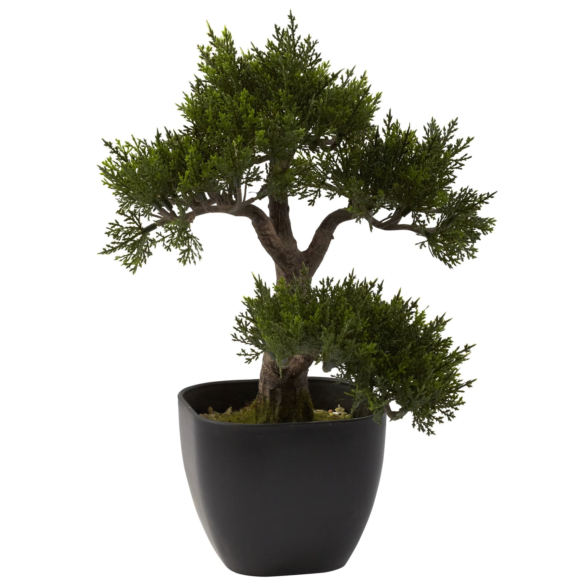 4966 Cedar Bonsai Artificial Tree, 15-Inch, Green
