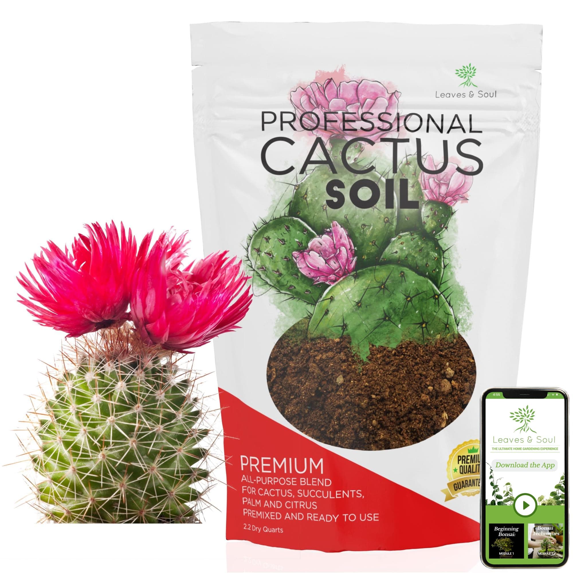 Professional Cactus Soil | Large 2.2 Quarts Ready to Use for Cactus Plants | Peat Moss, Coco Coir, Perlite, Dolomite | Made in USA