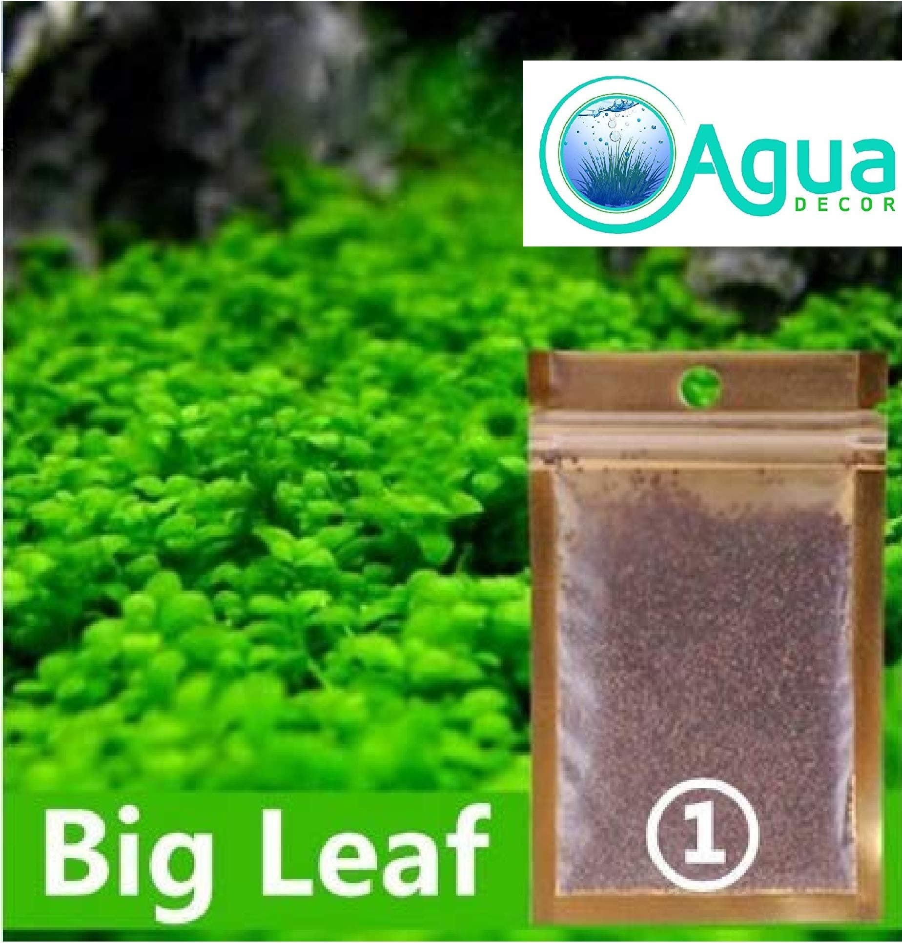 Agua decor Aquarium Grass Seed Small Cow 2 Pack Most Beautiful Grass