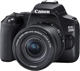 Canon EOS 250D + Canon EF-s 18-55mm f/4-5.6 IS STM Lens - Black