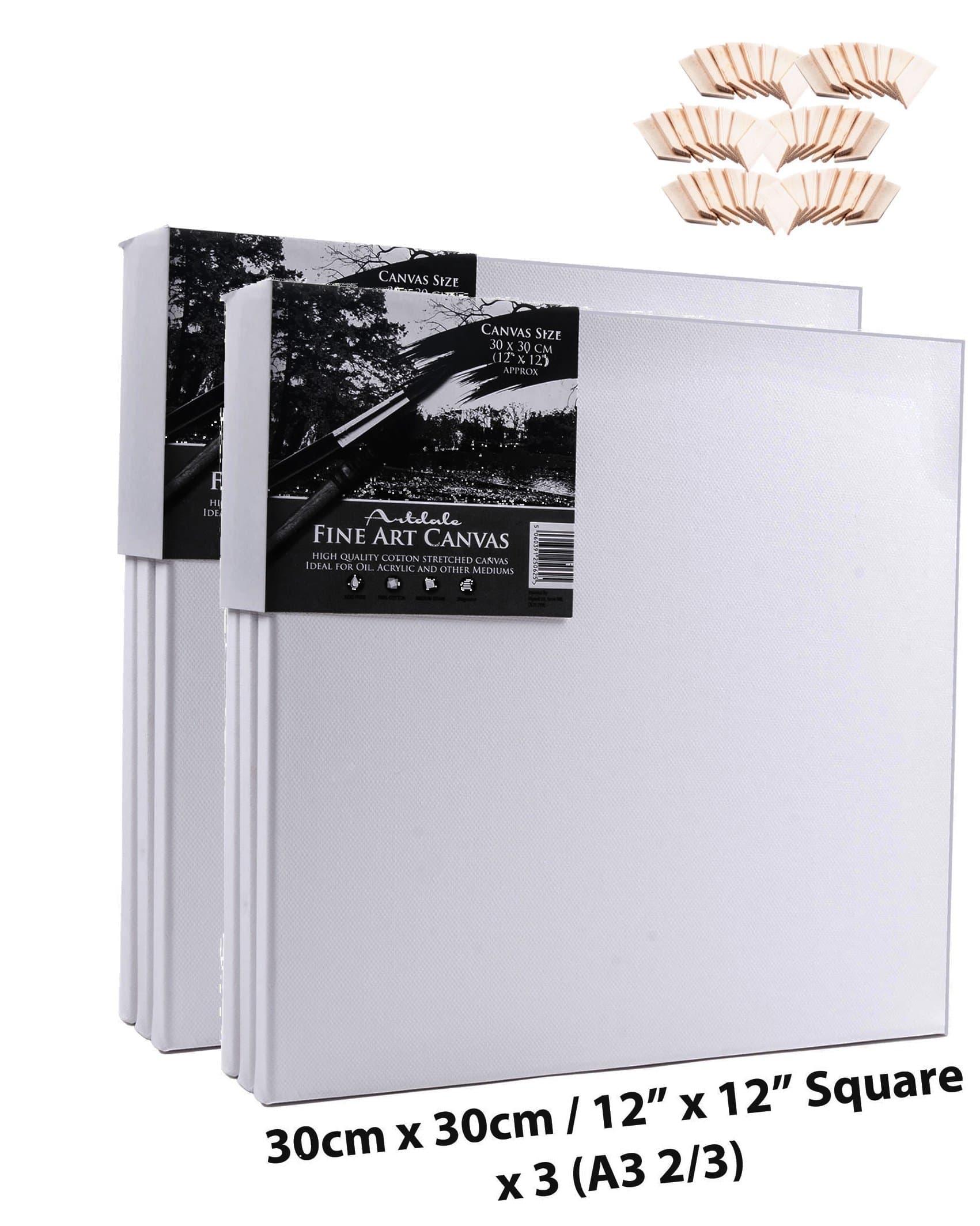 Artdale 6 Pack Standard Edge 17mm Framed Blank Pre Stretched Canvases Triple Primed White 30cm x 30cm Square Wood Frame 100% Cotton Student/Artists Art Canvas Oil Acrylic & More