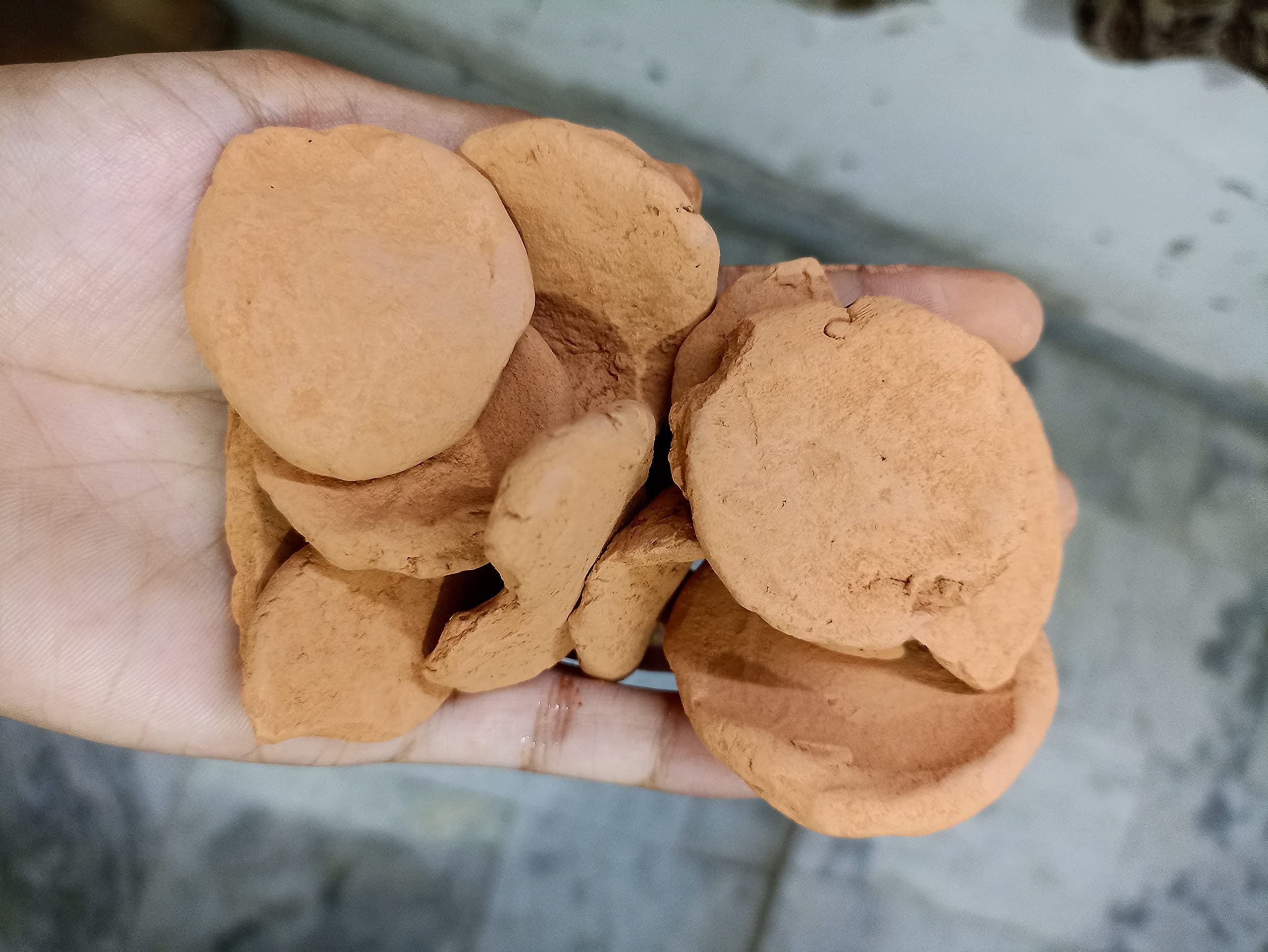 Authentic Fresh Punjabi MITTI Pack OFl 1000 GMS