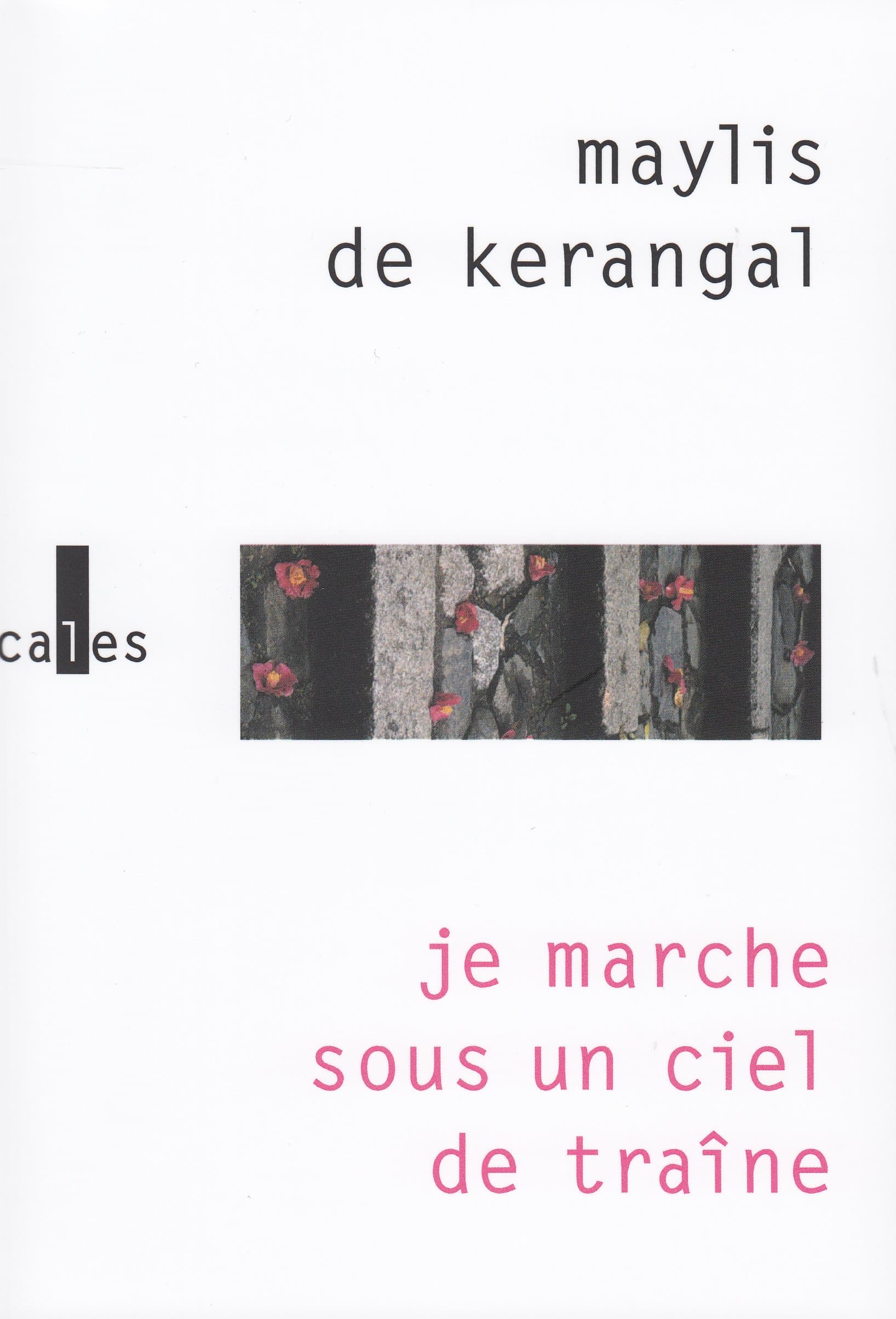 Je marche sous un ciel de traine