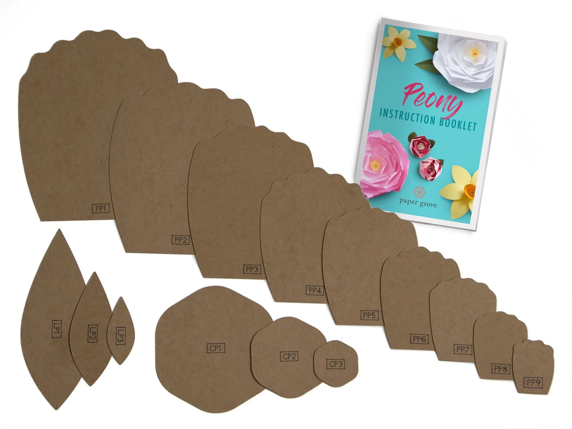 Paper Flower Template Kit, 2"-18" Peony, Leaf Templates and Instruction Book Included! DIY Wedding, Shower, Photography Backdrop (Peony)