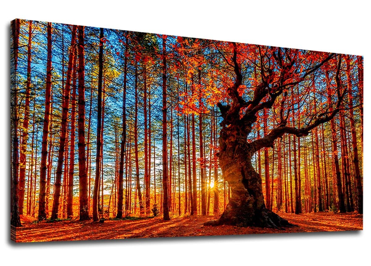 Large Forest Wall Art Forest Sunset Canvas Pictures Red Leaf Trees Landscape Canvas Artwork Contemporary Nature Picture for Living Room Bedroom Home Office Wall Decor Framed Ready to Hang 20" x 40"