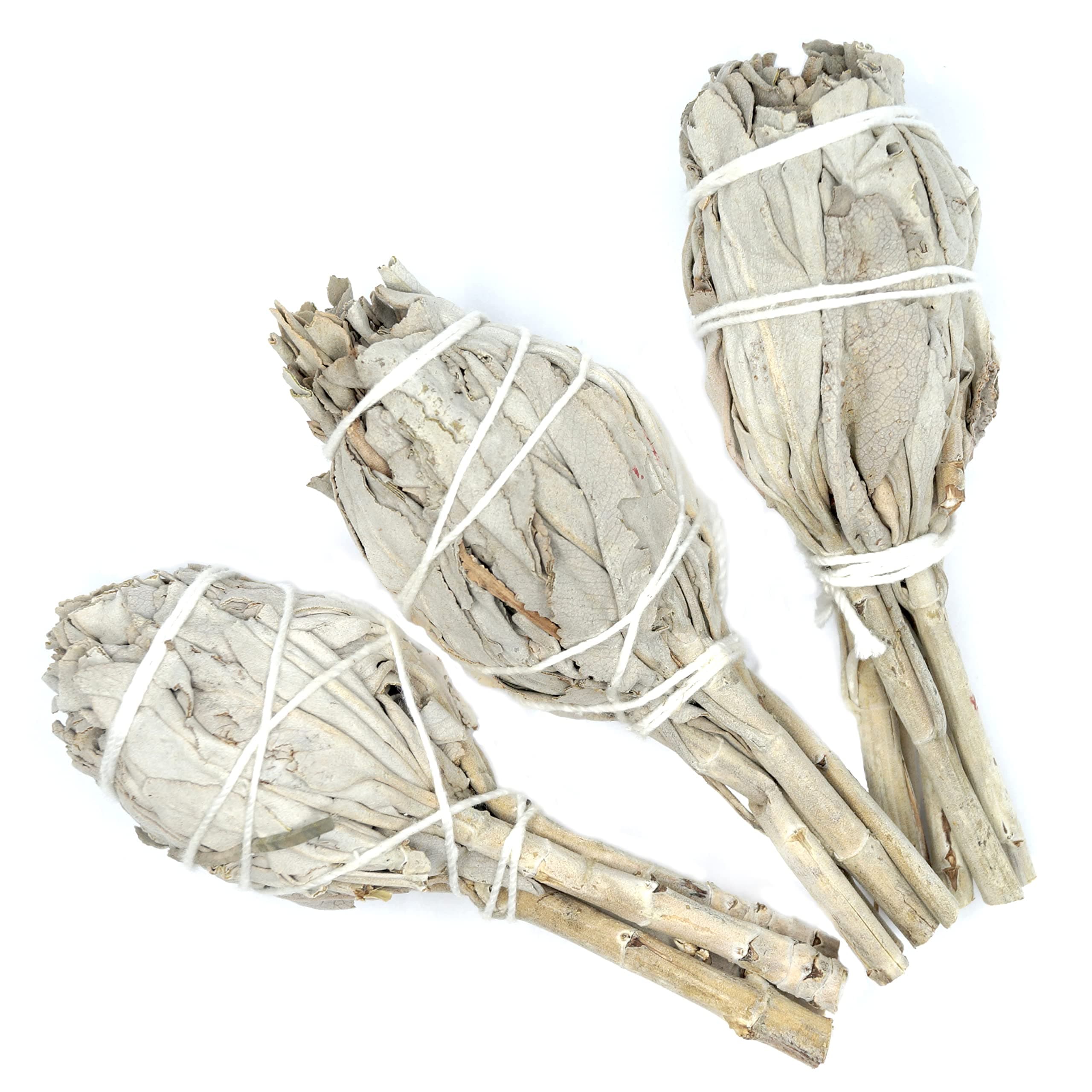 White Sage, 3 Incense Torches, Approx. 4,5 Inch, from California, Smudge Sticks, Salvia Apiana, Incense