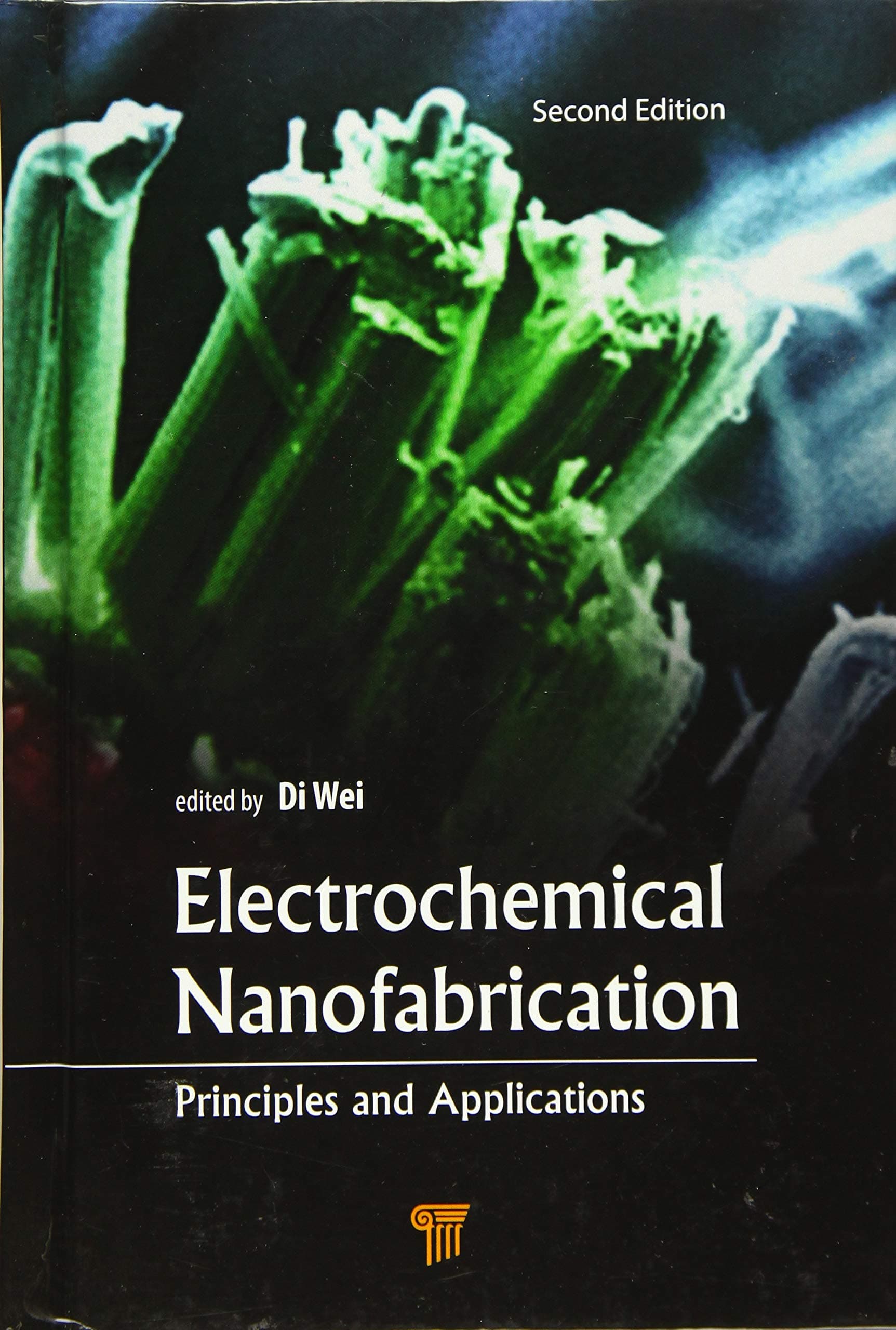 Electrochemical Nanofabrication: Principles and Applications, Second Edition