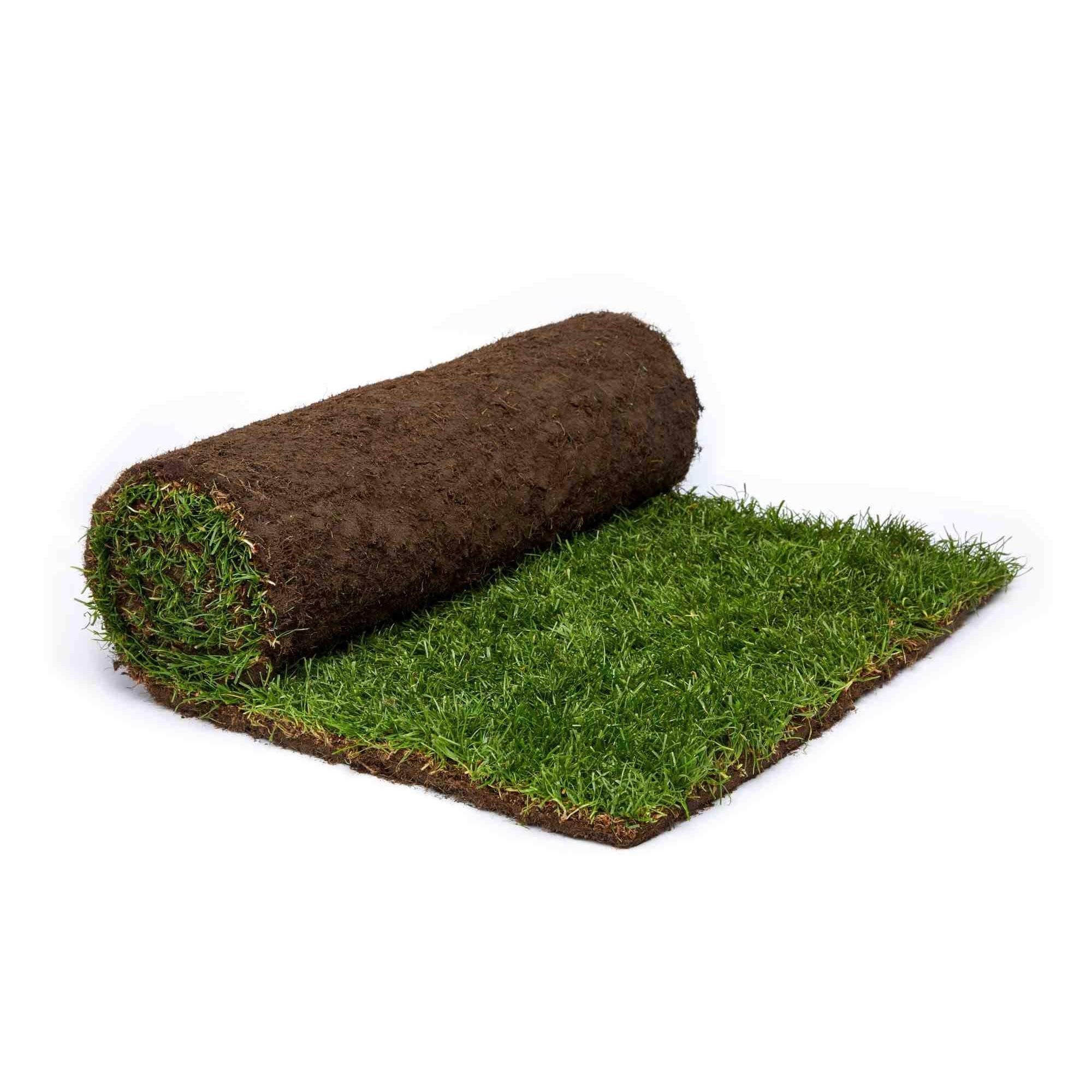 Rolawn Medallion® Turf - 1m² Rolls x 10
