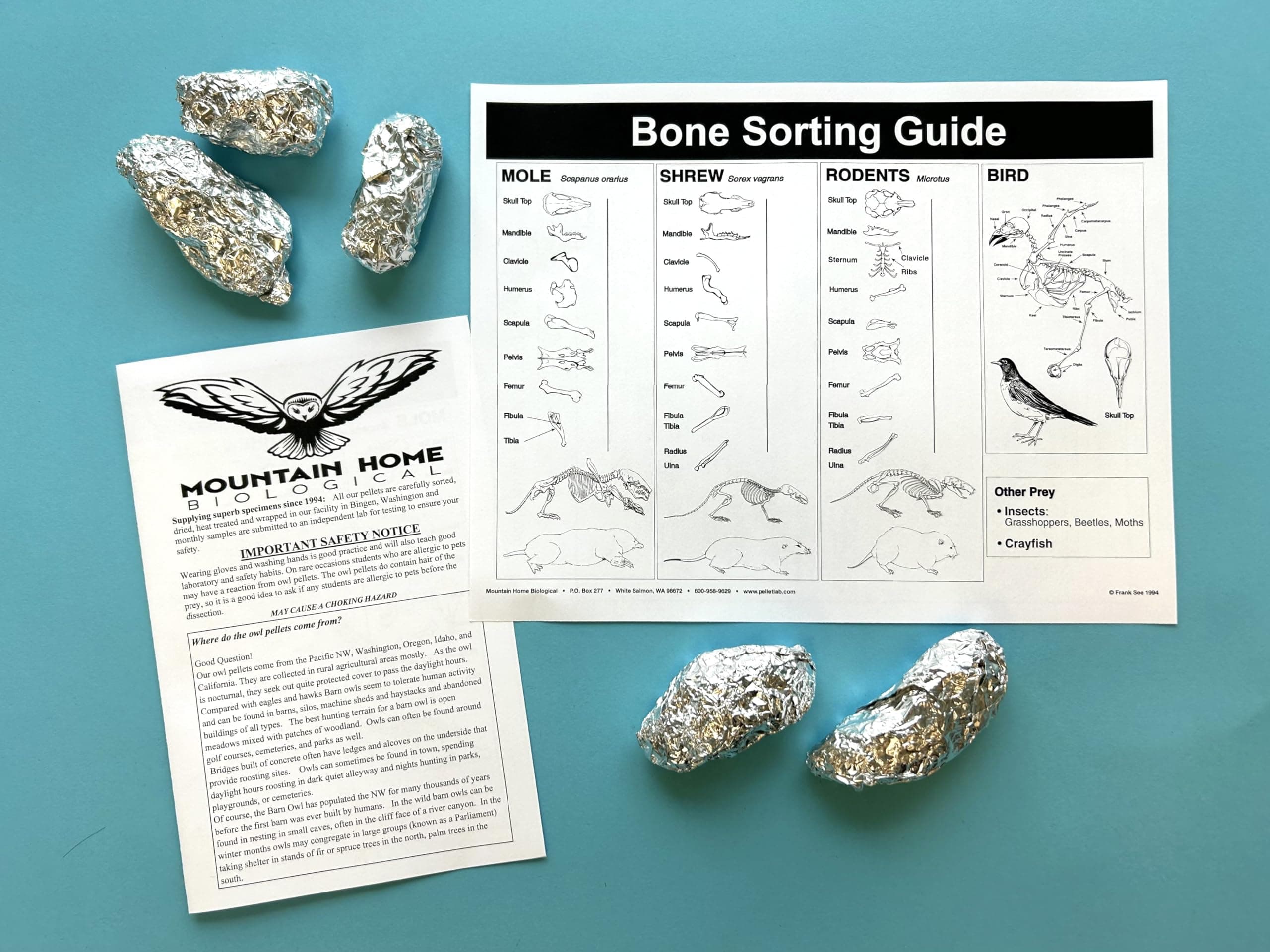Jumbo Owl Pellets, Pack of 5, with Bone Sorting Sheet, Inc.