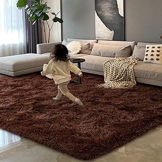 HOMORE Brown Living Room Rug, 4x6 Feet Fluffy Area Rug Modern Shag Rugs for Bedroom Dorm Super Soft and Comfy Carpet, Cute Carpets for Kids Nursery Girls Home Decor