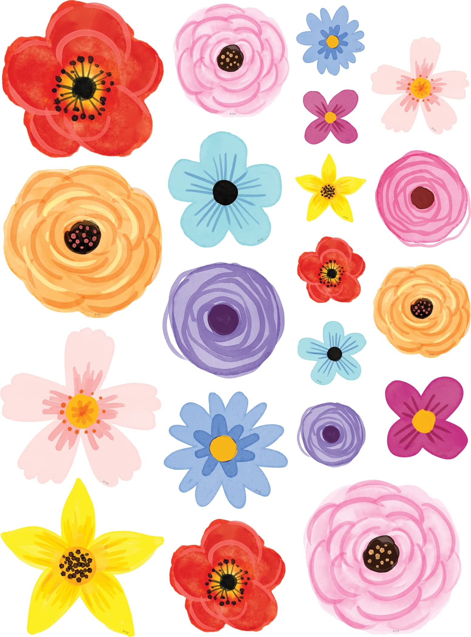 Wildflowers Accents - Assorted Sizes (TCR6595)