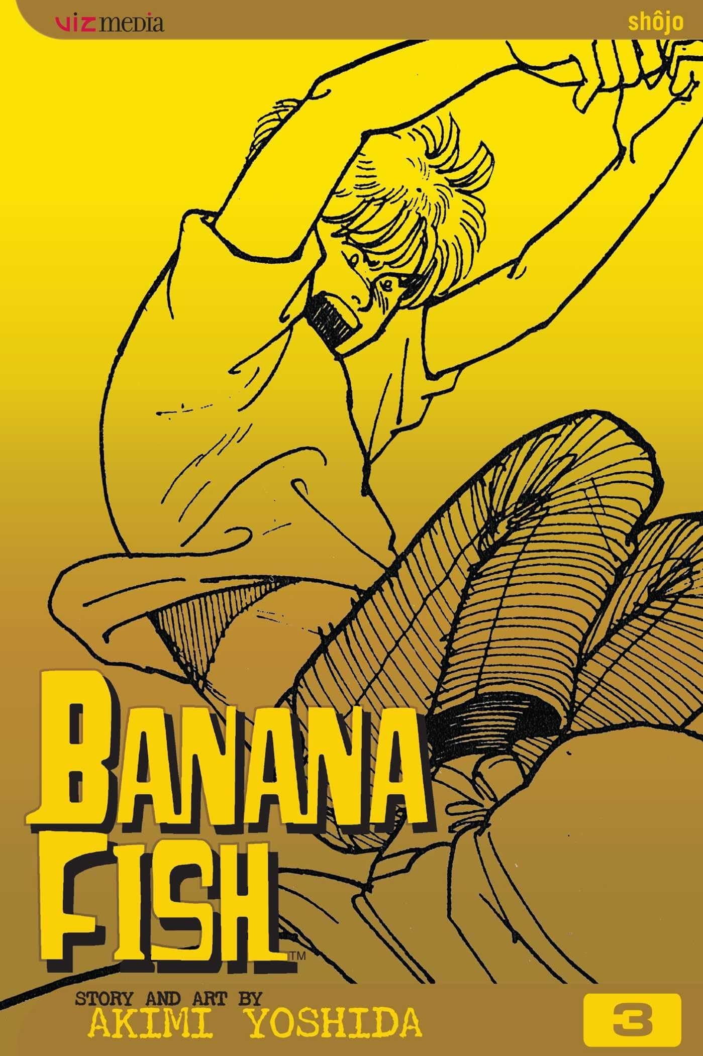 Banana Fish, Vol. 3: Volume 3