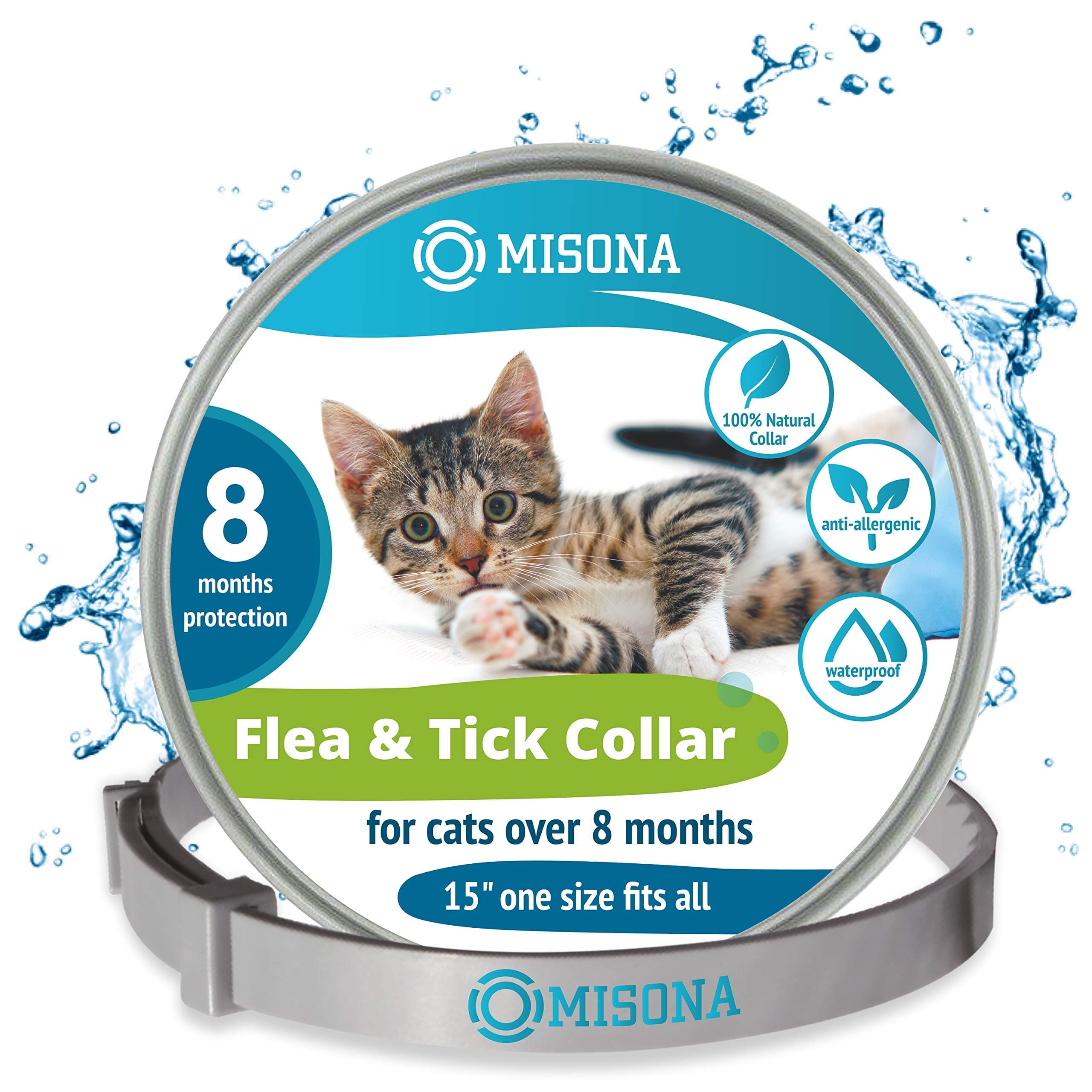 40 X Dried Natural Chicken Feet