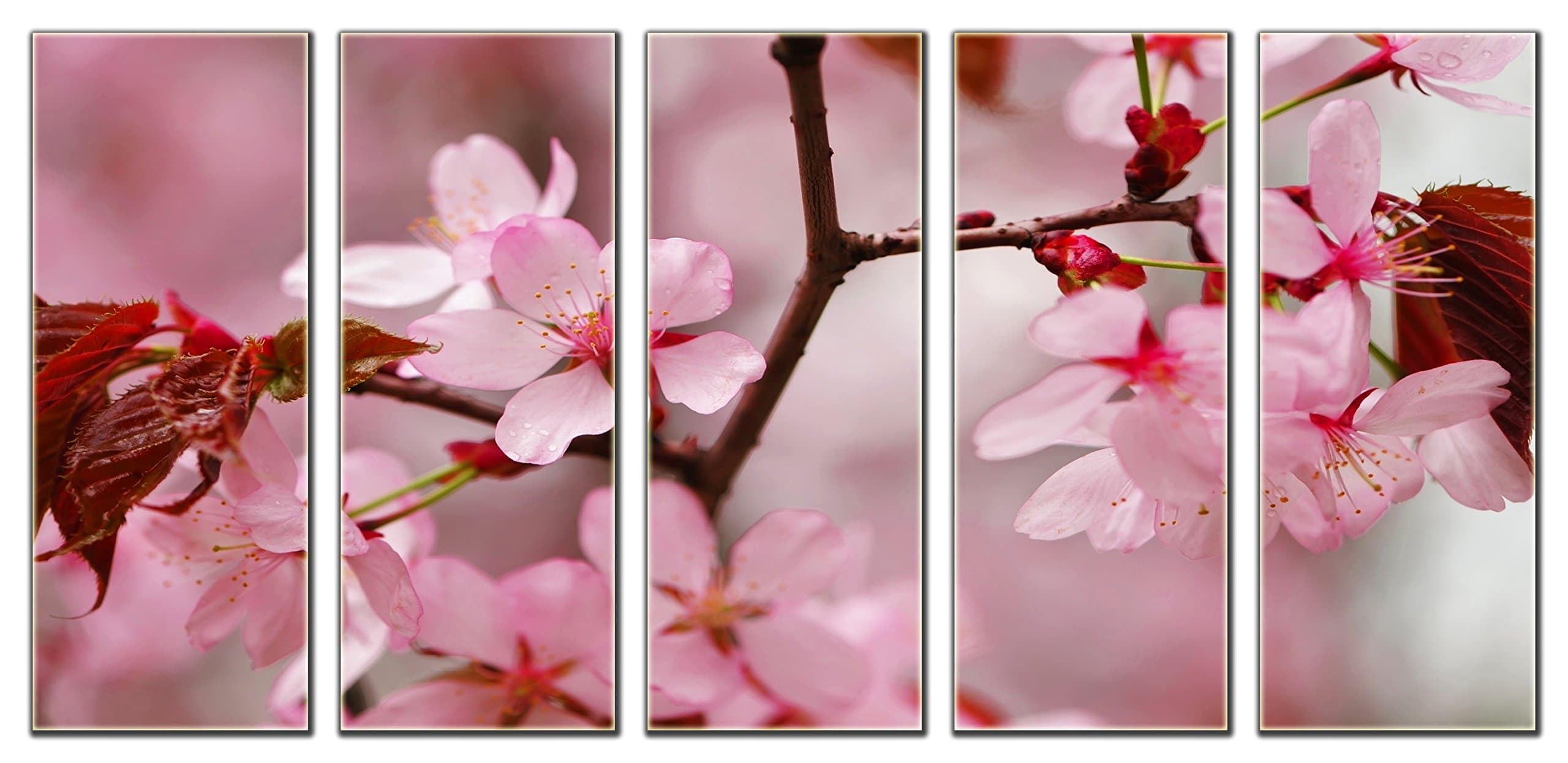Pink Sakura Spring Flower Print on Canvas Framed and Ready to Hang Modern Home and Office Wall Art Decor Flower Canvas Designs 5 Panel Print Wall Art