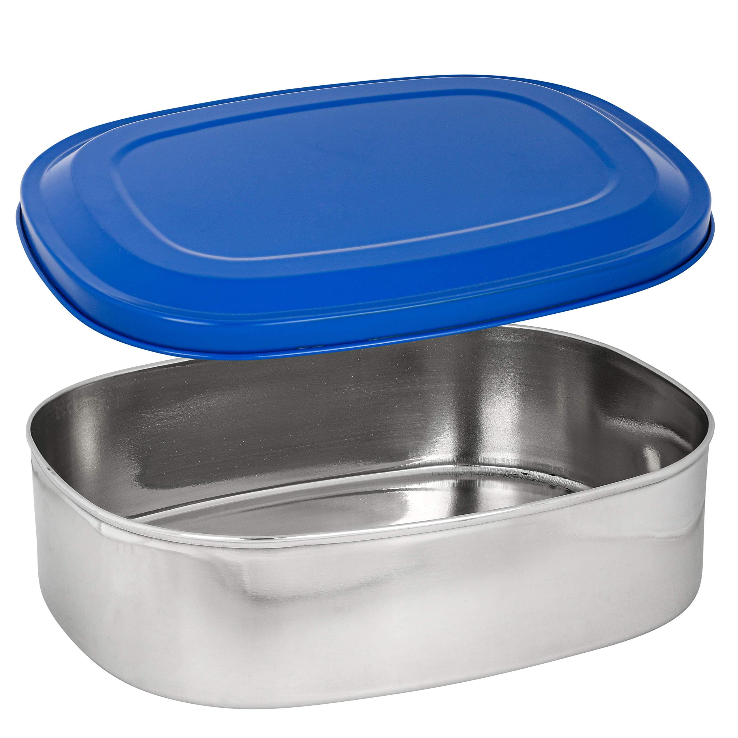 Stainless Steel Lunch-Safe container Large (Blue)