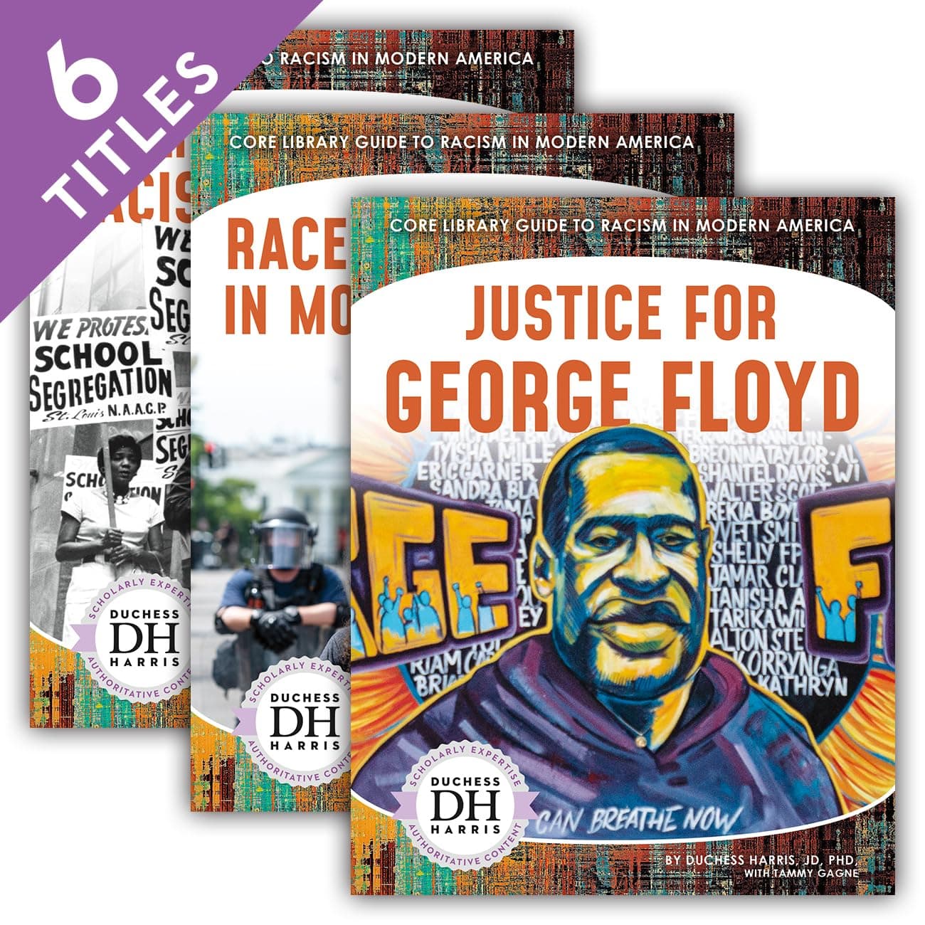 Core Library Guide to Racism in Modern America