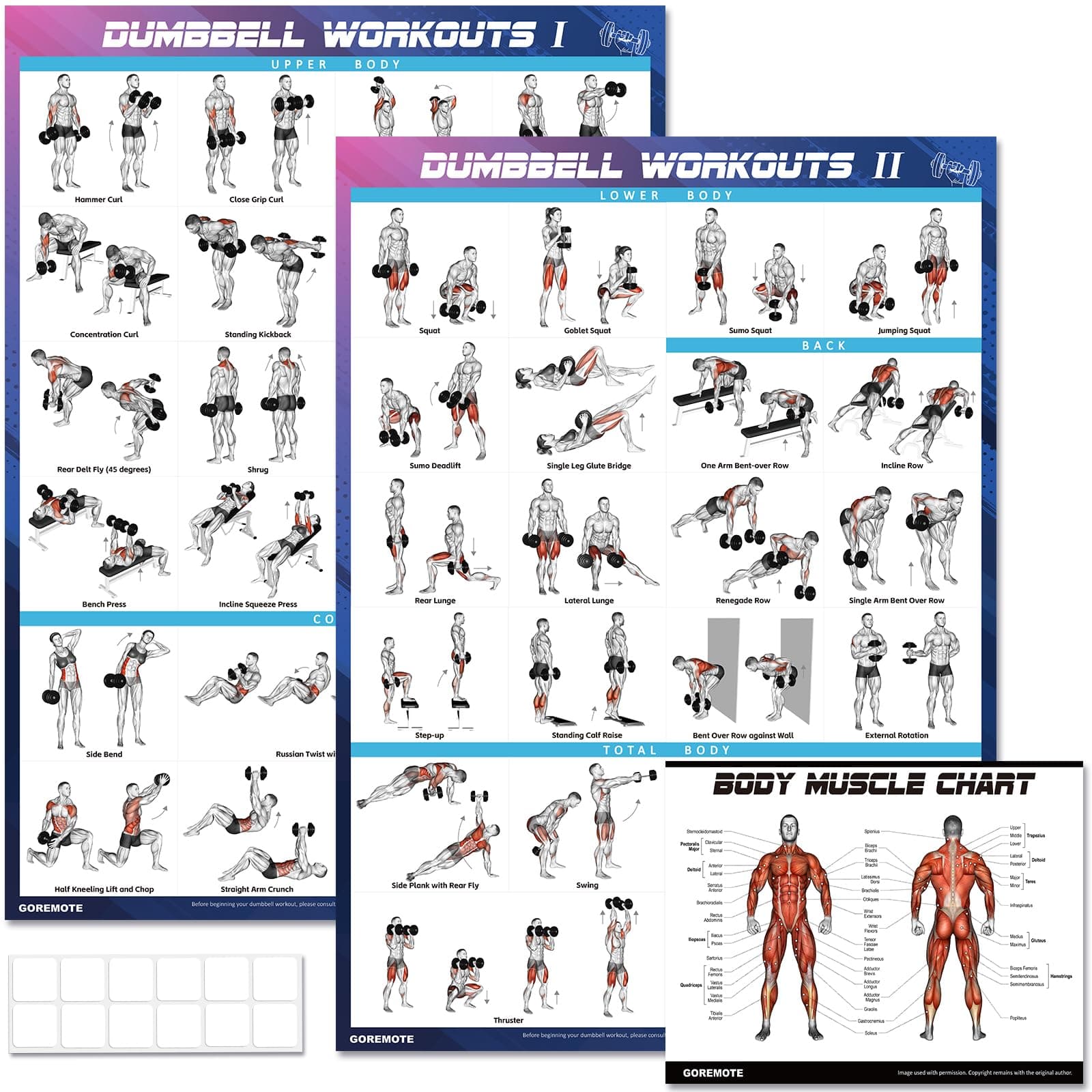 - Dumbbell Workout Poster Set (2 Pack) - Workout Posters for Home Gym, Volume I & II - 18" x 24" with Enlarged Dumbbell Exercise Charts Illustrations, Home Gym Decor