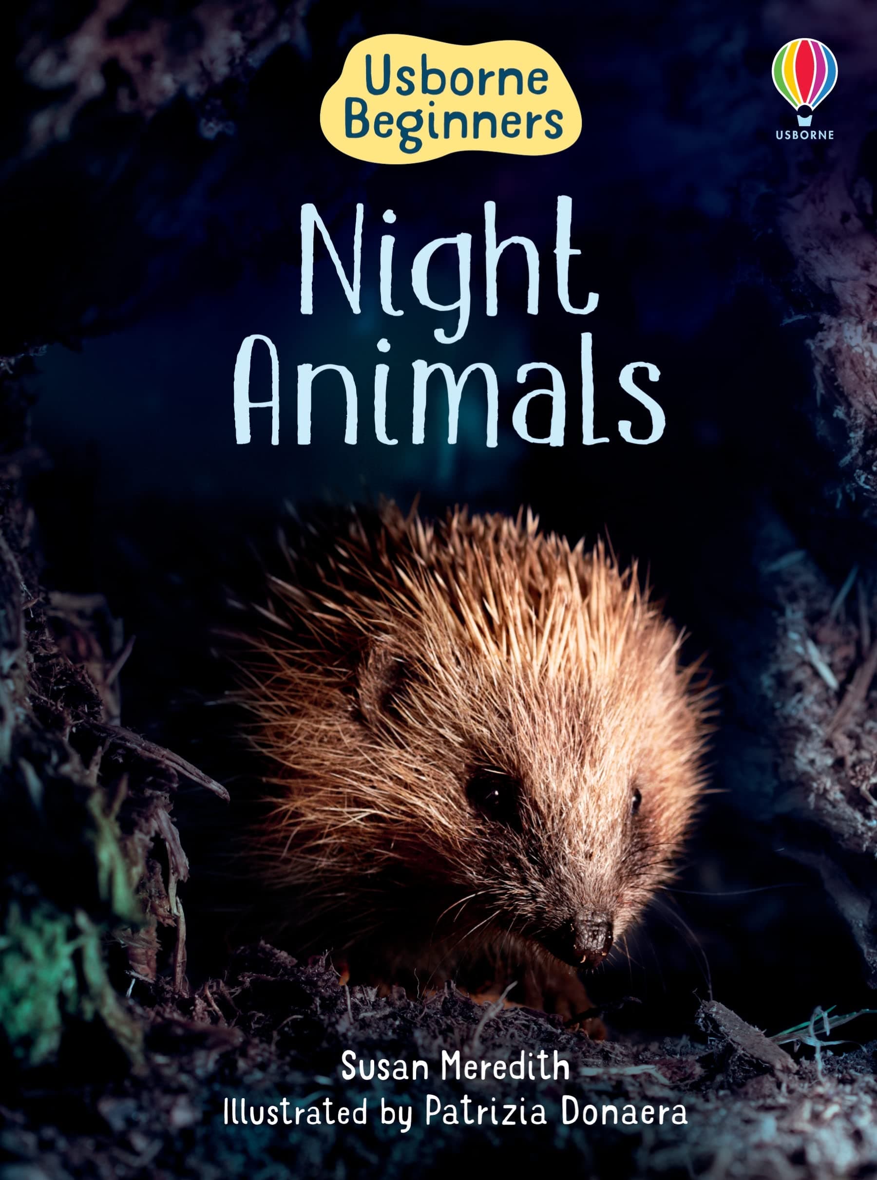 Night Animals (Usborne Beginners) Hardcover – 29 Jun. 2007