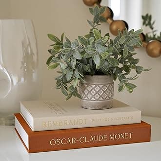 Beautiful Decorative Books - Set of 2 Linen Boxes Enhance Your Coffee Table, Bookshelf or Mantel Decor - Aesthetic Fake/Faux Books for Modern Home Decoration, Photo Storage and as a Keepsake Box