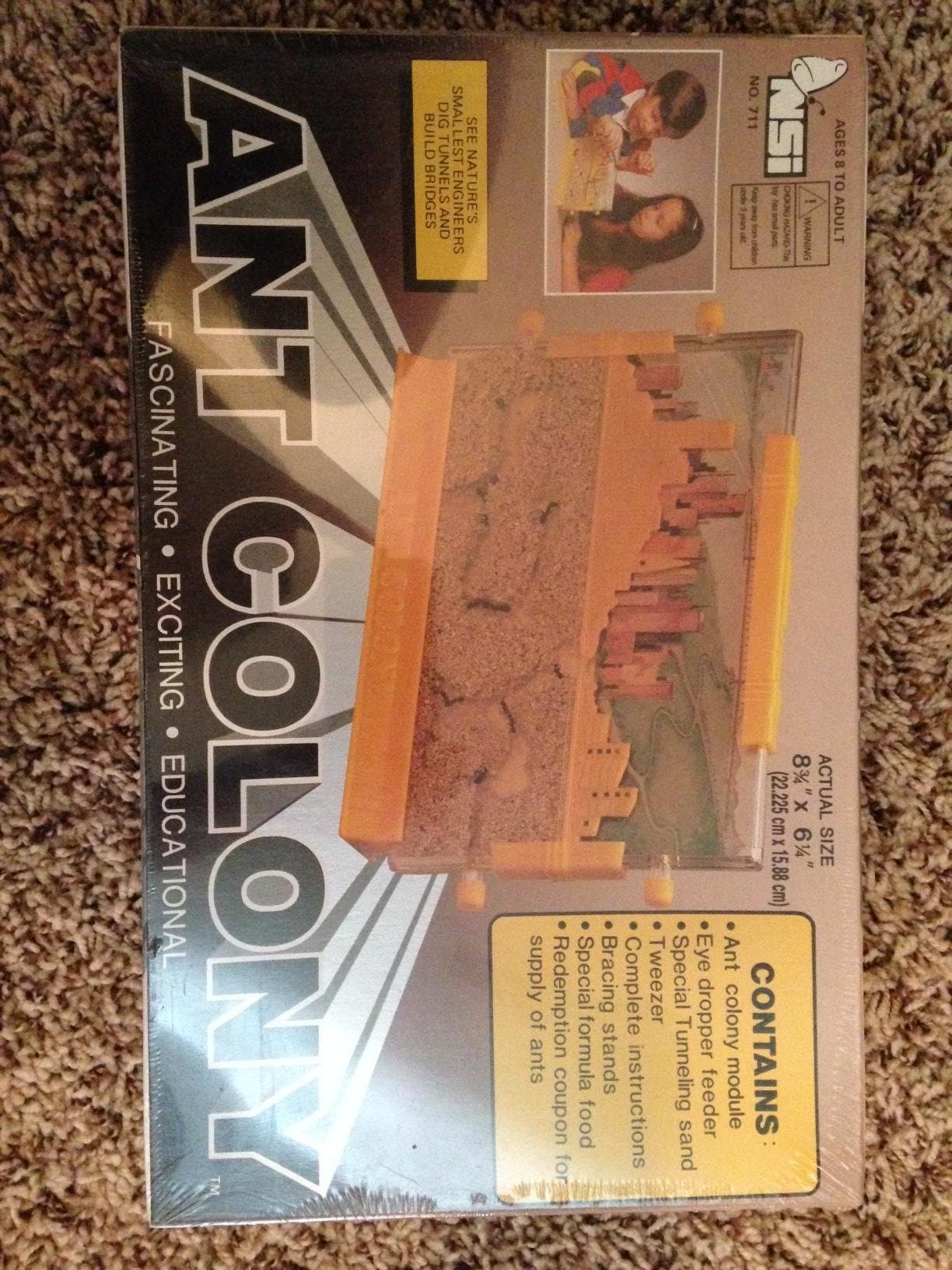 Ant Colony Outback Wildlife