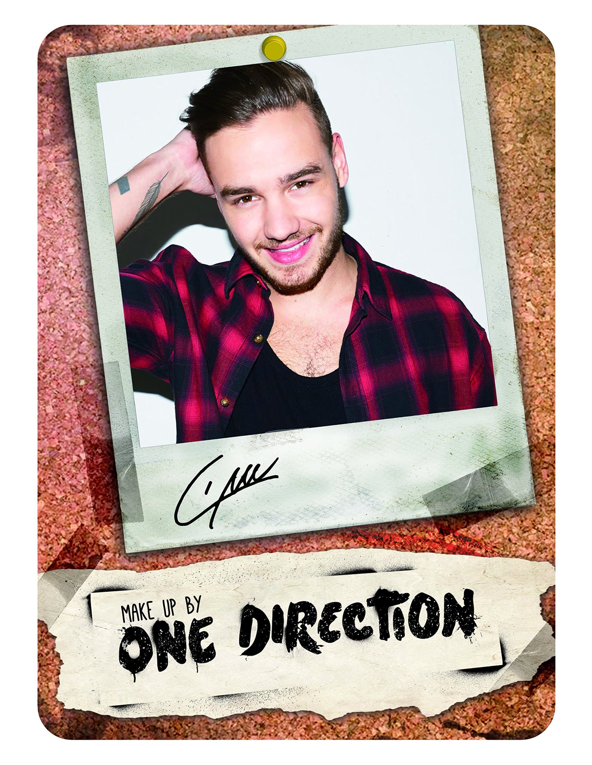 Make Up by One Direction The Complete Palette Collection Makeup, Liam, 16 Count