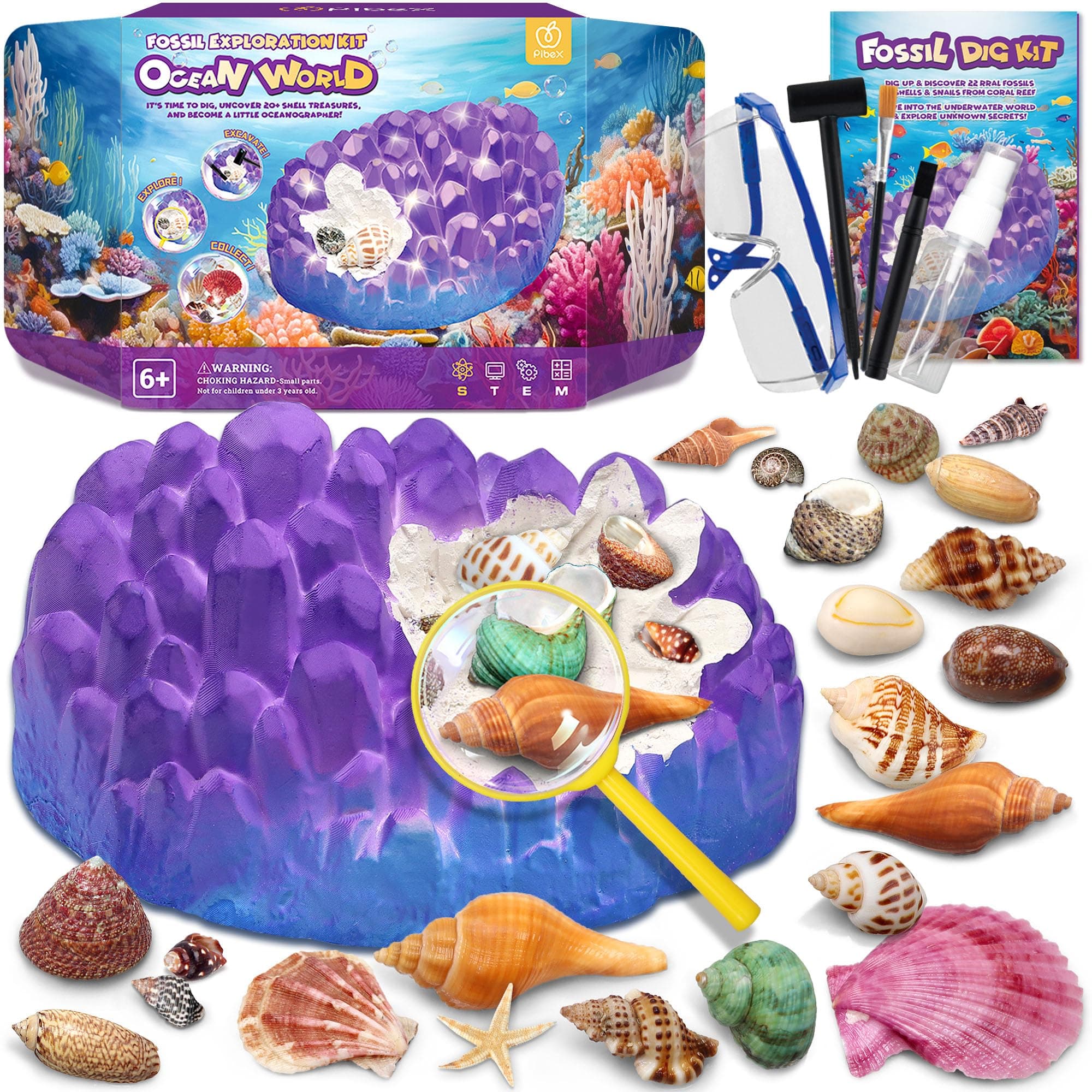 Ocean Fossil Dig Kit, Dig up 20+ Real Shells & Seasnails, STEM Educational Activity Set Sea Creatures Excavation Toy for Kids, Marine Biology Geology Science Kit, Gift for Boys and Girls Age 6+