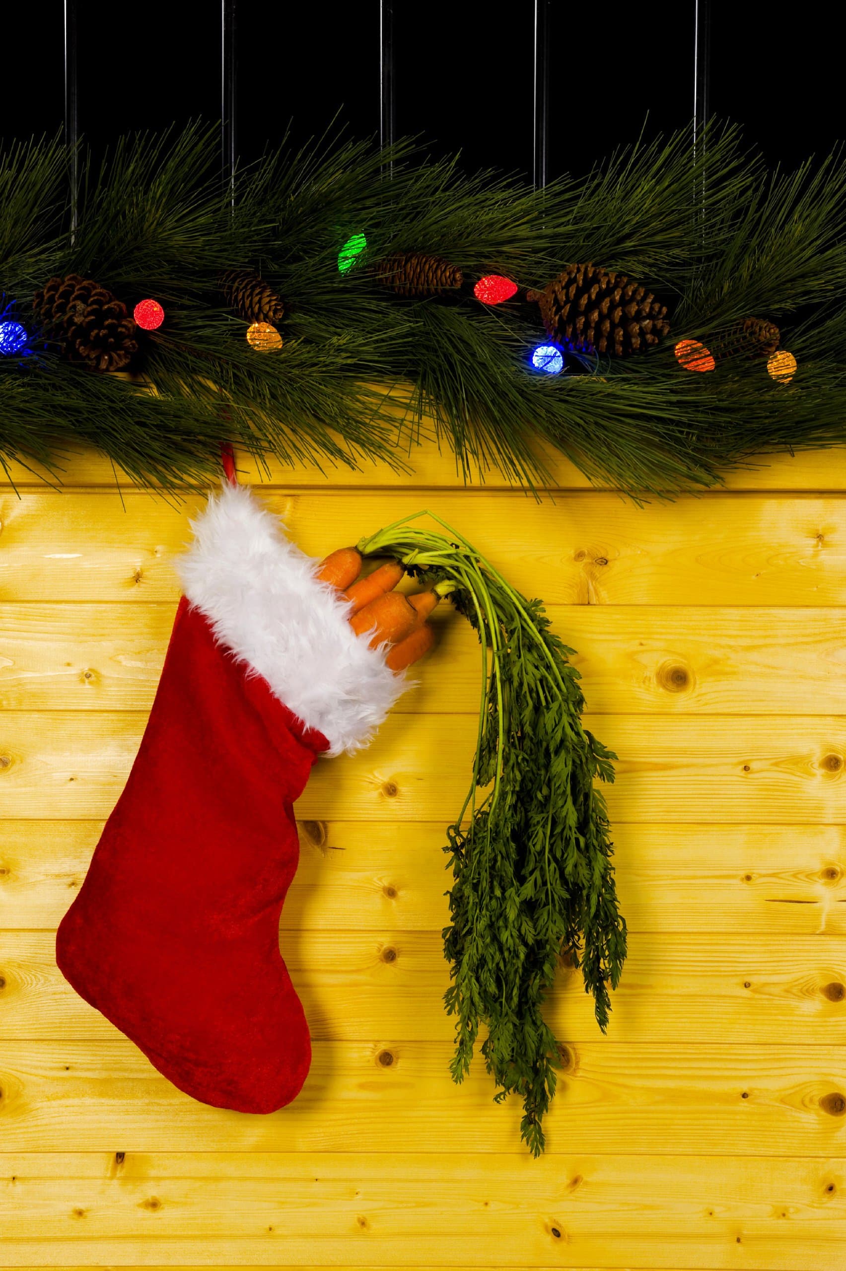 Stable Stocking Equine Holiday Cards