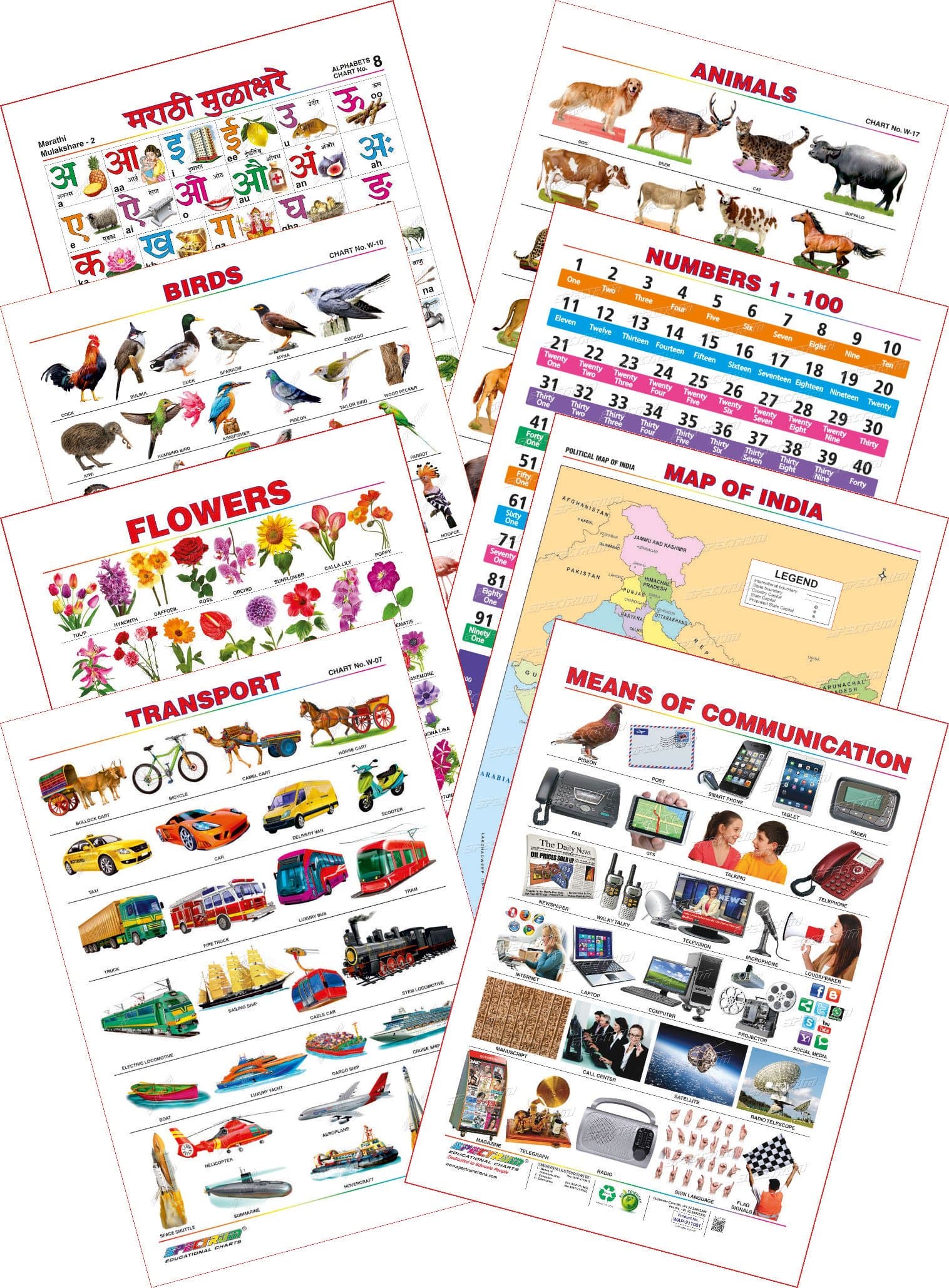 Spectrum Educational Mini Wall Chart (Set of 8) : Set 26 ( Marathi Mulakshare , Map of India , Animals , Birds , Flowers , Numbers 1-100 , Transport & Means of Communications ) [Wall Chart] SPECTRUM Wall Chart