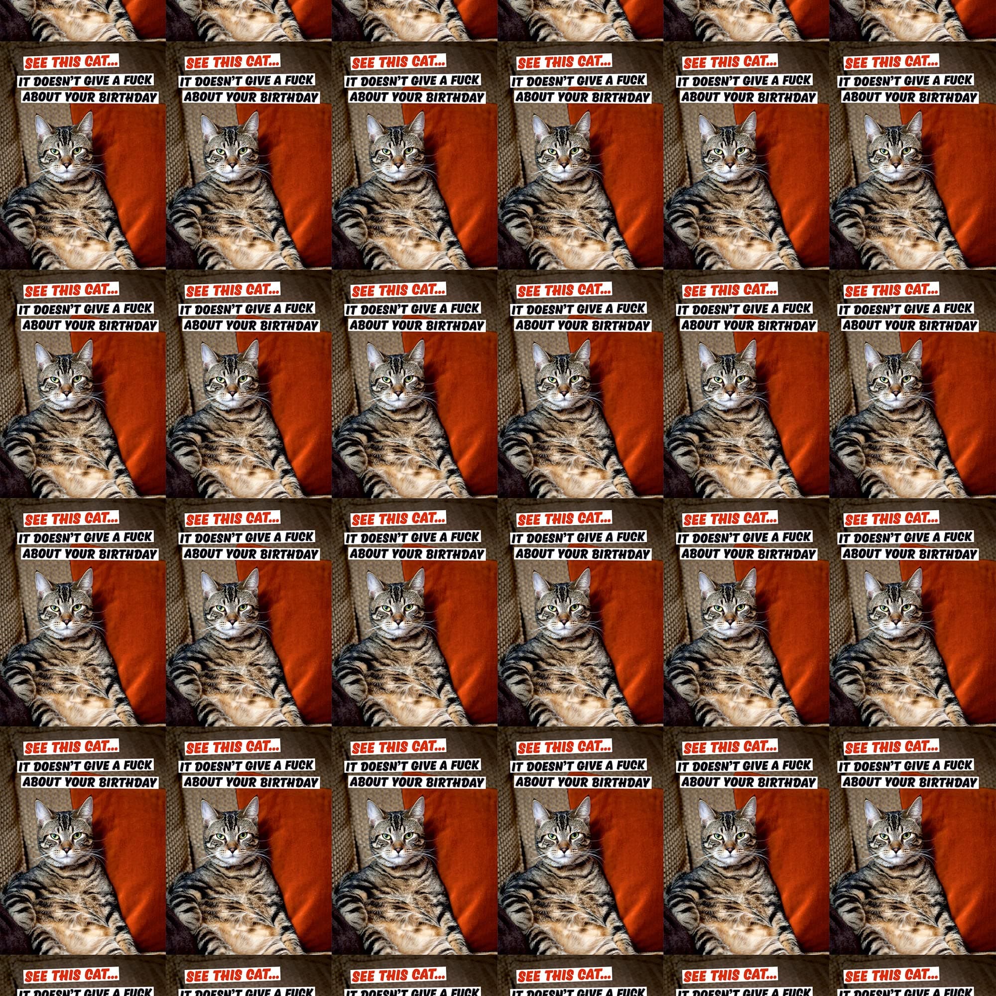 See This Cat - It Doesn't Give a F*** About Your Birthday Gift Wrap x 3 Sheets - Rude Birthday Wrapping Paper - Perfect for Cat Owner - Dean Morris Cards