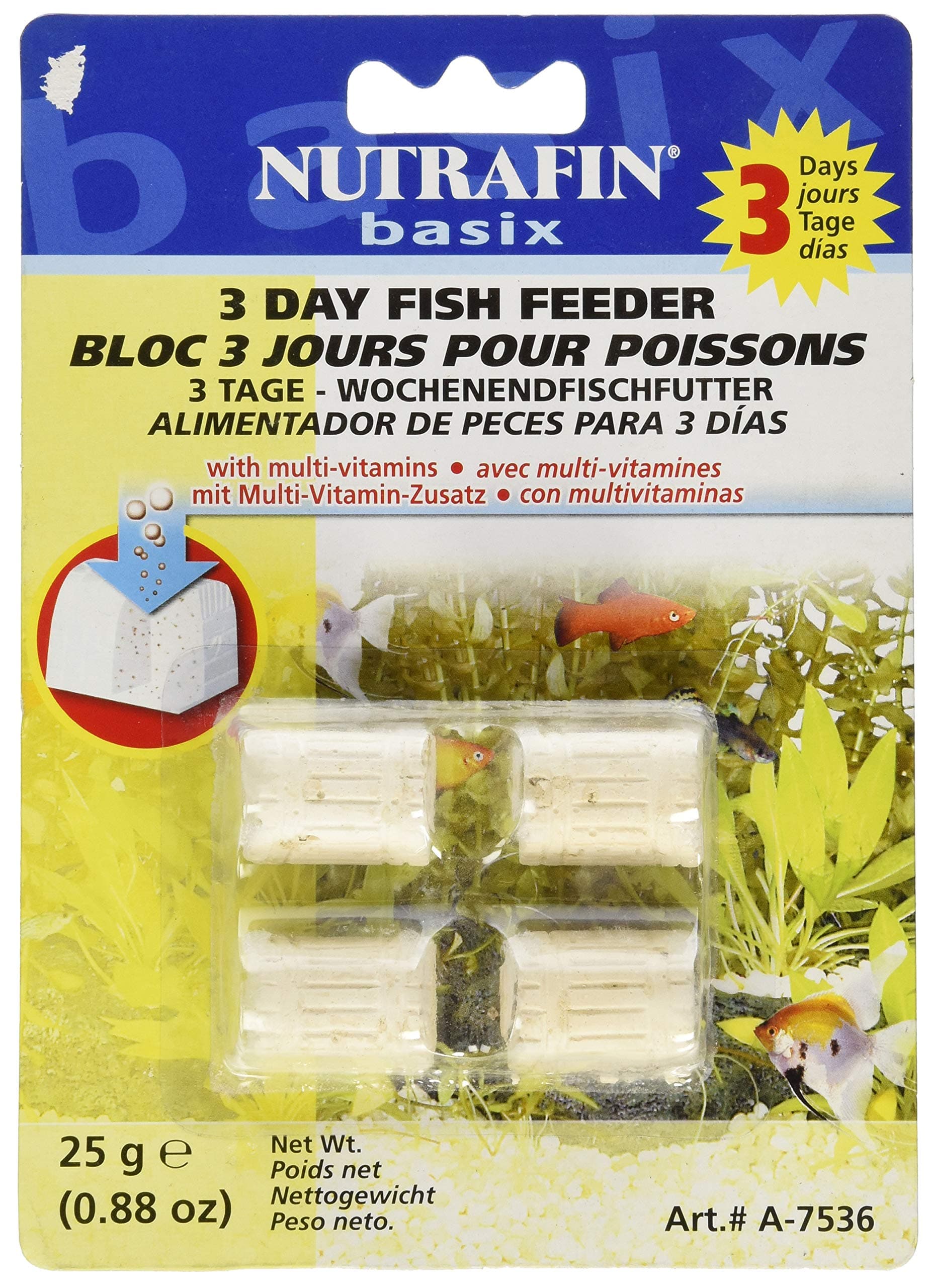 3-Day Treasure Chest Holiday Block