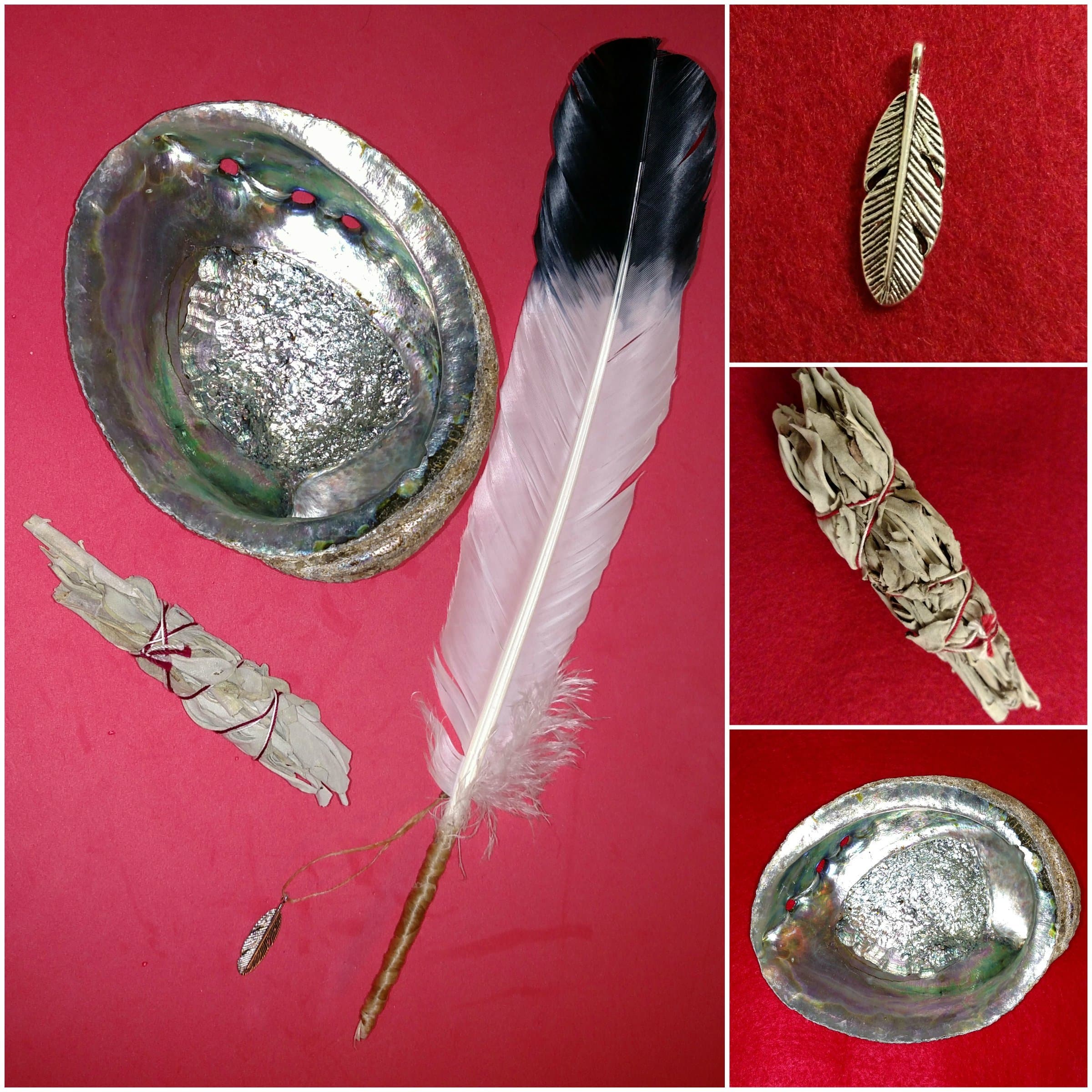 Smudging Kit Hand Made, Organic Sage, Authentic Sinew Wrapped Feather Wand, Abalone Shell