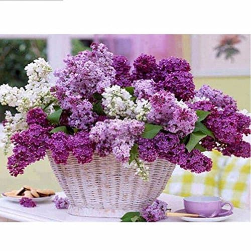 EHUPLUE 5D Diamond Painting Set Purple Flowers Bundle Art Patterns Full Square Dimand DIY Arts Craft Paint-By-Number Kits Adults' Children's Painting Tool Cross Stitch for Home,Office&Decoration