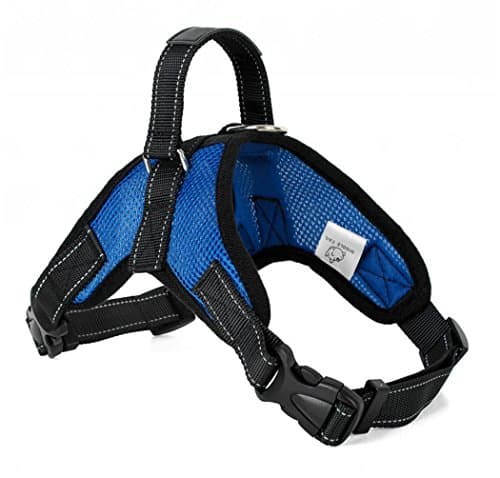 WIGGLE TAIL Breathable Mesh Dog Harness with handle, No Pull Reflective Adjustable Vest Harness for Small, Medium & Large breed(Blue,Large)