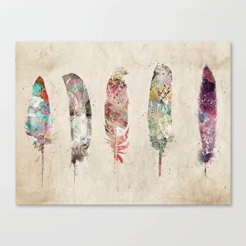 Ushopping - Feathers - Canvas Prints Artwork 12" x 16"