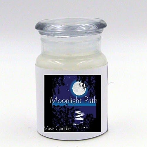2 Moonlight Path Jars | Vase Candle | 60 Hour Burn Time | Premium Soy Paraffin Wax Blend | Highly Scented | Self-Trimming Wick