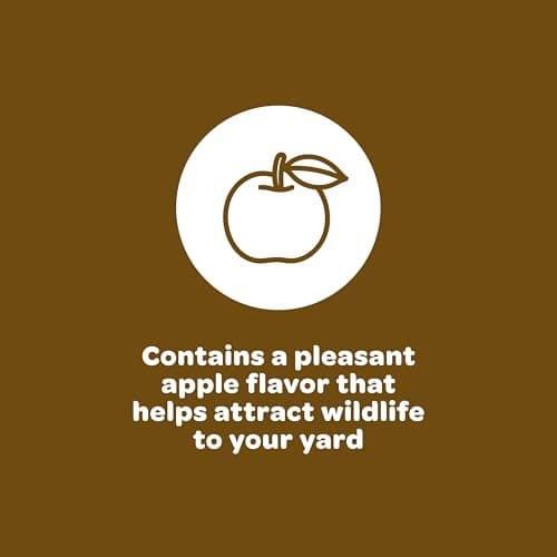 Kaytee Squirrel & Critter Seed Blend, 10 lb