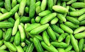 10pcs Ivy Gourd Vegetable Seeds
