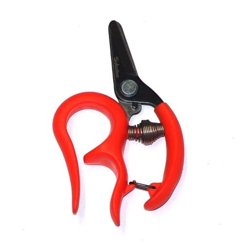 Harvesting Scissors Straight No.1315