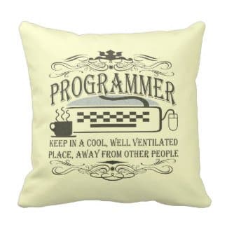 Derhamstore Funny Programmer Pillow