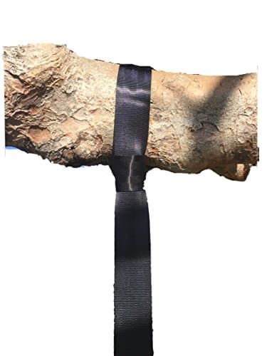 TWO Tree Swing Straps! Extra Long Swing Strap! YES TWO 10 foot Tree Swing Hanging Strap Kits By STRENGTH PRESENTS! Perfect for any Swing! Web, Toddler, Hammock Strap