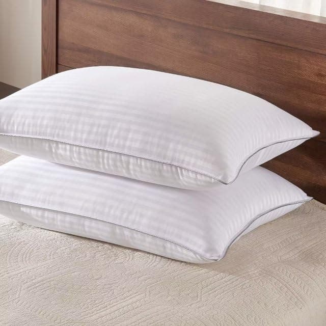 Basic Beyond Pillows Queen Size Set of 2 - Down Alternative Pillows for Sleeping, Soft Queen Pillows Set of 2 for Back, Stomach or Side Sleepers, 20x28 Inches