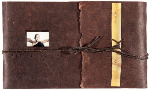 Feather to Fire (Ashes and Snow Books)