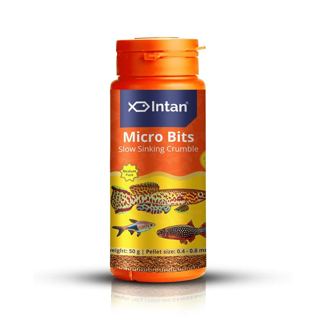 Intan Micro Bits (0.4-0.6mm Slow Sinking Crumble) | 50gm - Highly Nutritious Ornamental Fish Food for Small Mouths - Killifish, Tetras, Rasboras & Danios | Growel Feeds