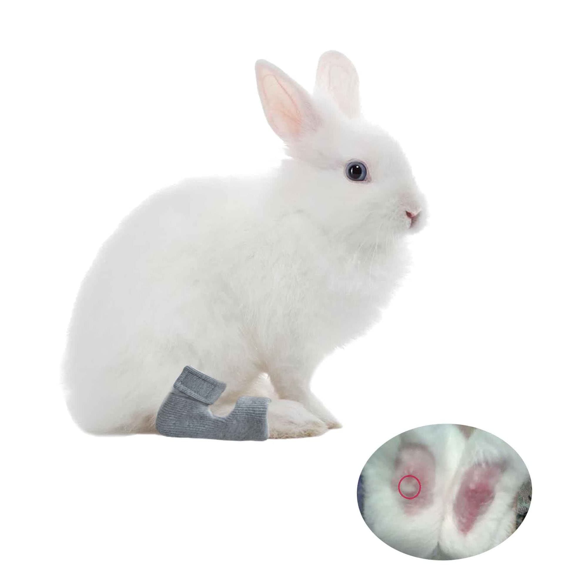 vomvomp 1 Pair Rabbit Socks for Sore Hocks Elbow Protective for Bunny Recovery and Relief Wound Pain